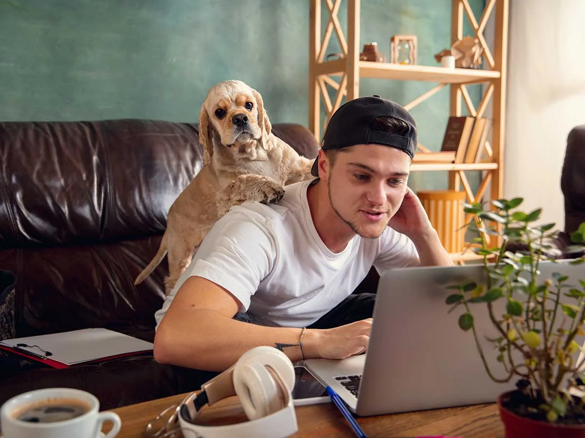 4 razones para estudiar inglés por internet