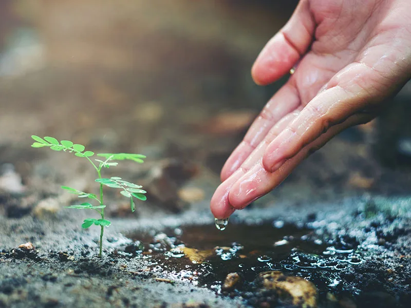 5 de Junio, día Mundial del Medio Ambiente