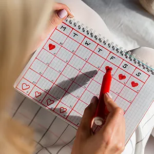 Conoce los días de las semanas y los meses en inglés