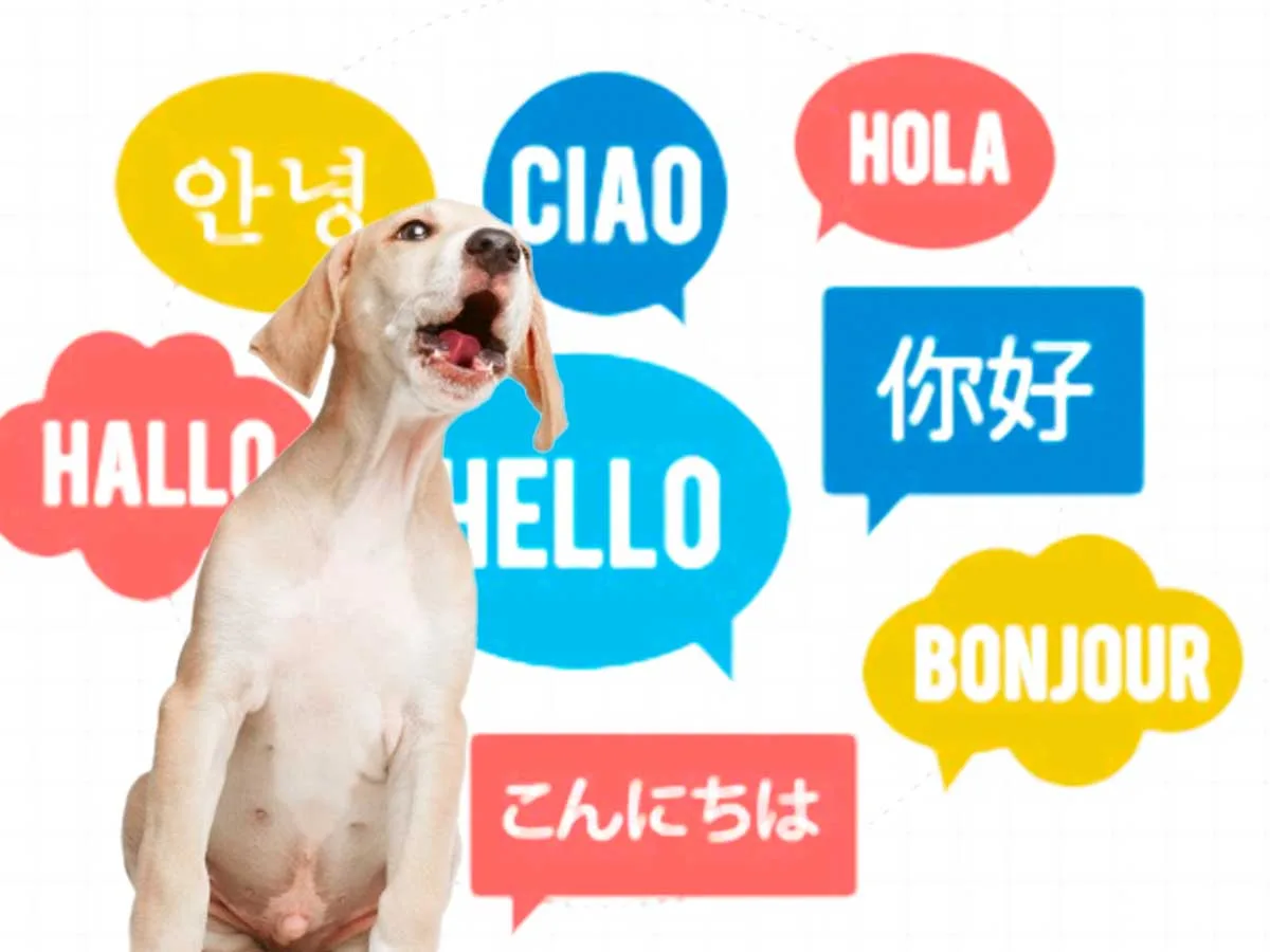 ¿En qué idioma ladra tu perro?