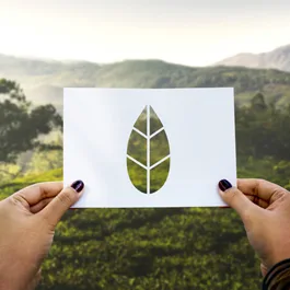   Es momento de hablar del medio ambiente en inglés