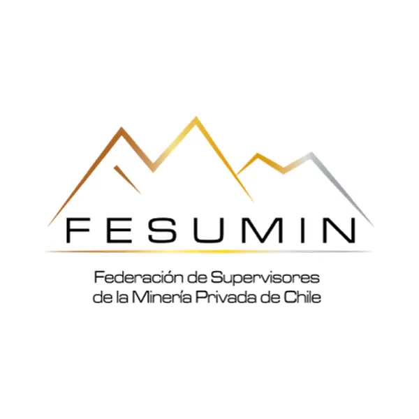 Logo de Fesumin