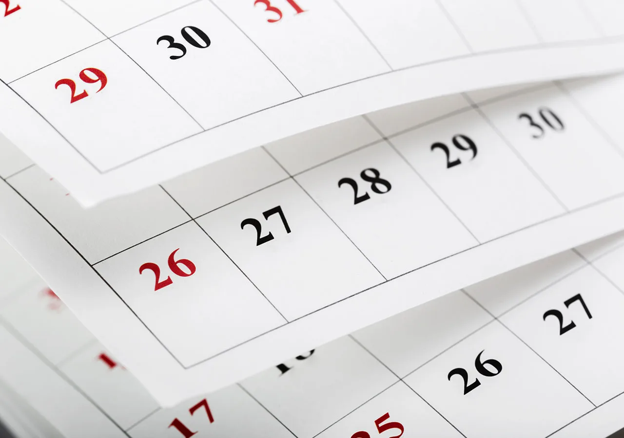 ¿Para qué y cómo se establecen los días internacionales?
