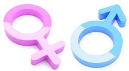 ¿Quiénes aprenden más fácil inglés? ¿Mujeres u hombres?